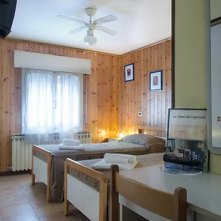 Capriolo 3* Vidiciatico